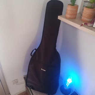 Guitarra Acústica Harley Benton (mejorada)