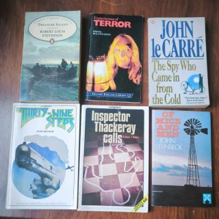 Lote libros en inglés (clásicos + readers)