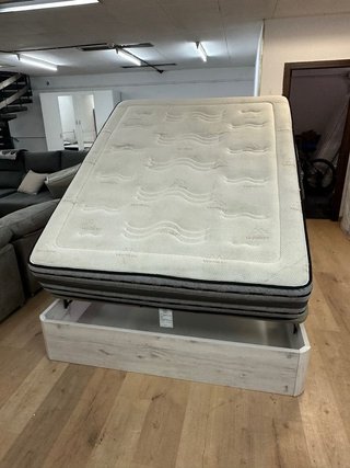 CANAPE CANAPE CANAPE CANAPE CANAPE CANAPE CANAPE