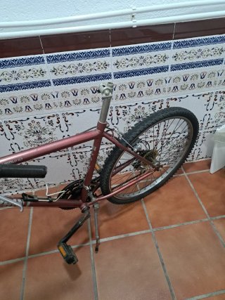 Bicicleta de adulto