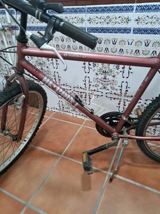Bicicleta de adulto