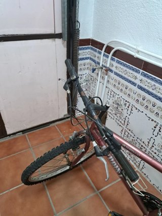 Bicicleta de adulto