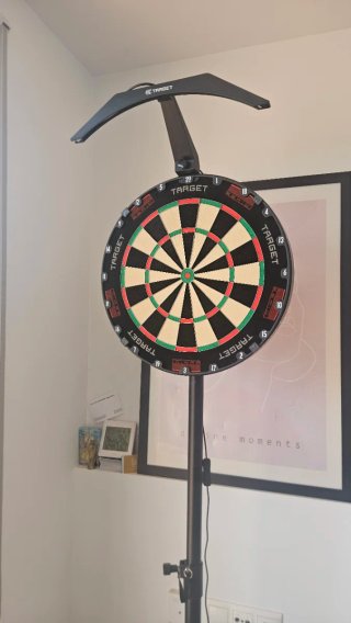 Diana de dardos profesional con soporte