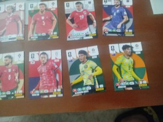 Lote cartas Adrenalyn Mundial