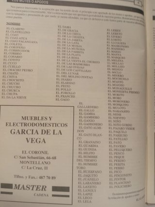 REVISTA "EL LLANETE" Montellano. Primavera 1993