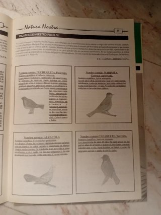 REVISTA "EL LLANETE" Montellano. Primavera 1993