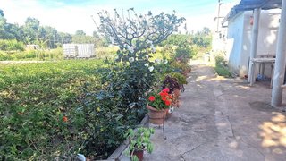 Terreno en venta en Gavà Mar en Gavà