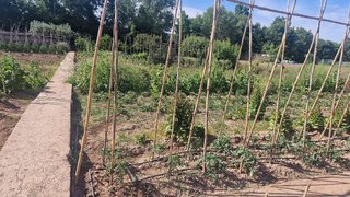 Terreno en venta en Gavà Mar en Gavà