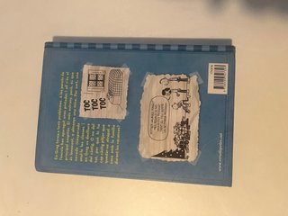Diari del Greg 12. L'escapada