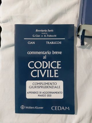 Commentario al codice civile 2020