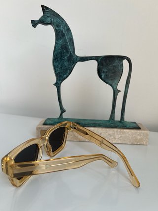 Gafas de Sol Polarizadas Beige y Negras