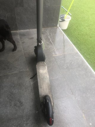 Patín Eléctrico Bongo con Cargador