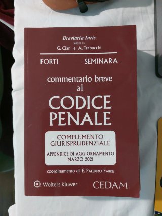 Commentario breve al codice penale 2020