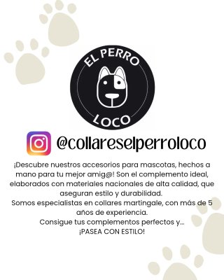 Collare antifuga per cani