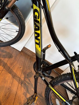 Bicicleta Giant XTC JR 24”