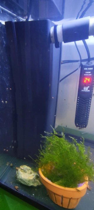 Acuario Aquatlantis 60L Completo