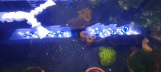 Acuario Aquatlantis 60L Completo