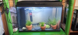 Acuario Aquatlantis 60L Completo