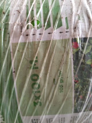 MALLA ANTIHIERBAS PARA JARDIN 105 gr. 3m X 100m