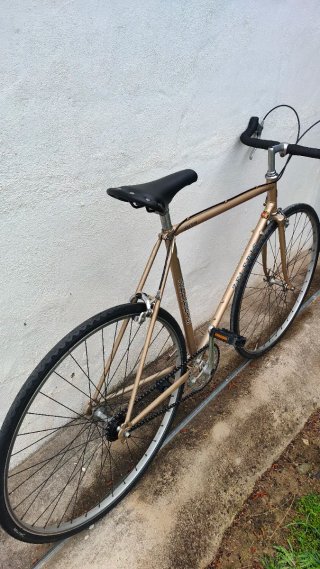 Bicicleta para circular sin tener que reparar nada