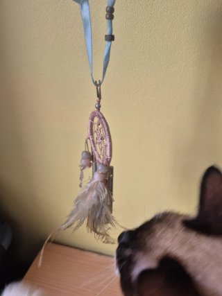 Atrapasueños decorativo con plumas