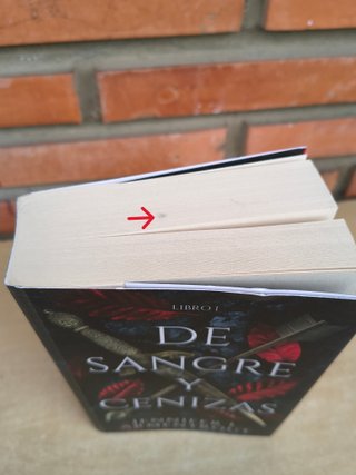 Libro "De sangre y cenizas"