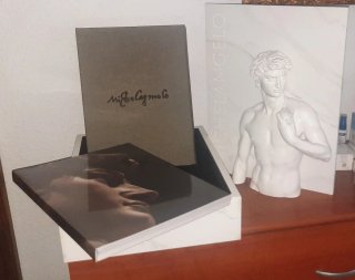 Colección Michelangelo: Dibujos - ARTIKA. Edición