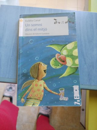 Un somni dins el mitjó