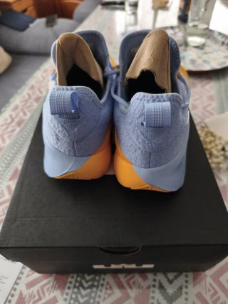 Nike LeBron TR 1 Talla 42.5