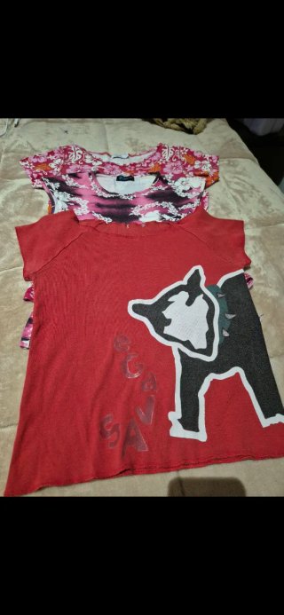 Lote 5 Camisetas