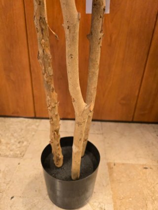 Planta Croton Artificial Decorativa