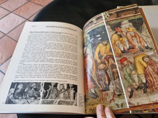 Libro rarovintage "Antologia monumentale di Chieri