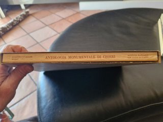 Libro rarovintage "Antologia monumentale di Chieri