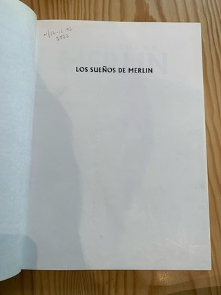 Los sueños de Merlin.