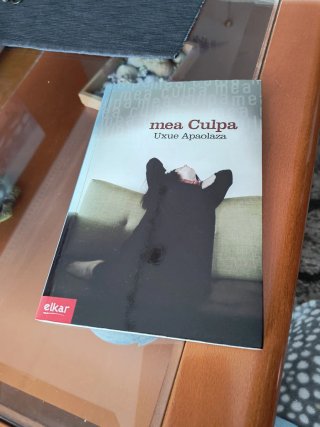 Mea culpa