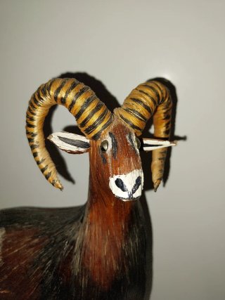 Figura Muflón Parque Natural Cazorla 1993