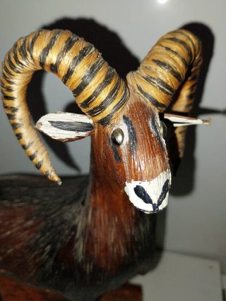 Figura Muflón Parque Natural Cazorla 1993