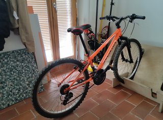 Bicicleta naranja Anakon para niños 10 años