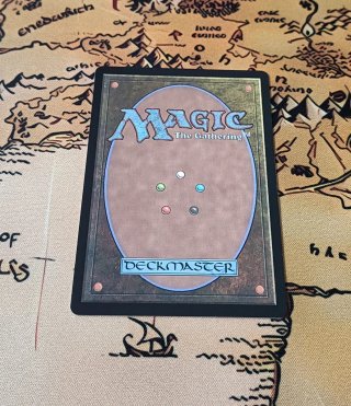 CARTA MAGIC - SAVVY TRADER