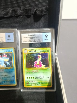 Cartas Pokémon TCG Gradeada Vintage