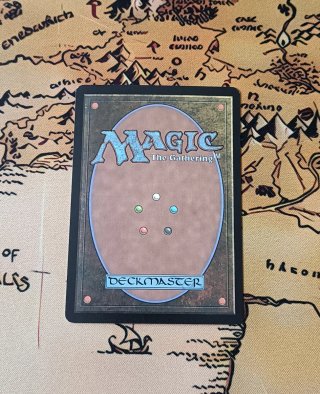 CARTA MAGIC FOIL - HONDEN OF LIFE'S WEB