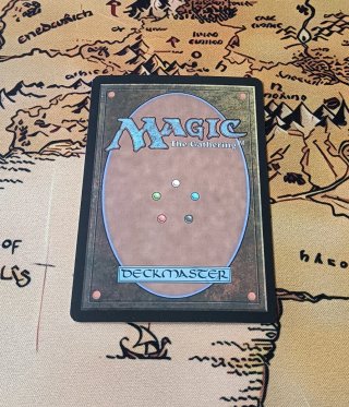 CARTA MAGIC FOIL - HONDEN OF LIFE'S WEB