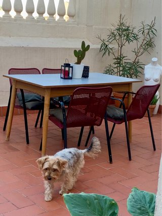 Tavolo da Pranzo Nordico in Legno