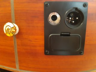Bajo Electroacústico Ibanez EWB30PDE RLG + ESTUCHE