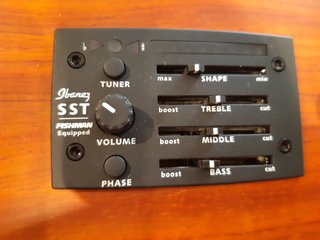 Bajo Electroacústico Ibanez EWB30PDE RLG + ESTUCHE