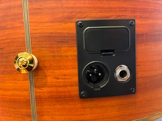 Bajo Electroacústico Ibanez EWB30PDE RLG + ESTUCHE