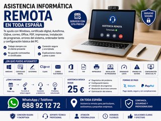 Asistencia informática remota