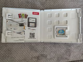 Ever Oasis Nintendo 3DS
