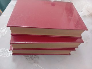 Diccionario latino-español y español latino