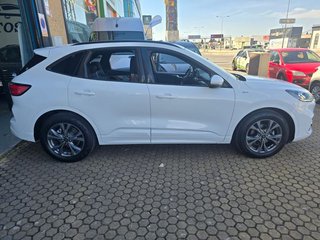 Ford Kuga ST-Line 1.5 EcoBlue 88 kW (120 CV)